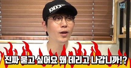 고양이 산책, 진짜 솔직하게 얘기해줄게