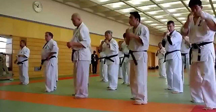 KUDO. Samokhin I. (Ukraine). Dan Test for 5th dan. КУДО