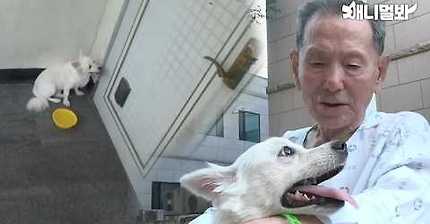 주인님이 열흘 째 문을 열어주지 않아요.. (캡쳐) | 인스티즈