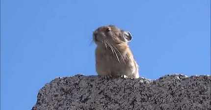 보헤미안 랩소디 ㅋㅋㅋ | 인스티즈