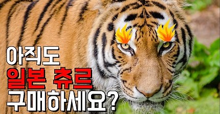 최초 공개! 국내 츄르 공장을 다녀왔습니다!!