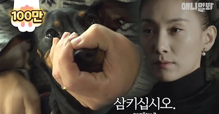 사료를 목에 들이라고 말씀드렸습니다 | 인스티즈