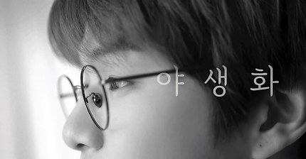 강다니엘 FMV 야생화 KANG DANIEL WILD FLOWER 팬뮤비