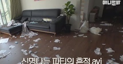 개판 5분전의 진정한 의미 (충격영상)