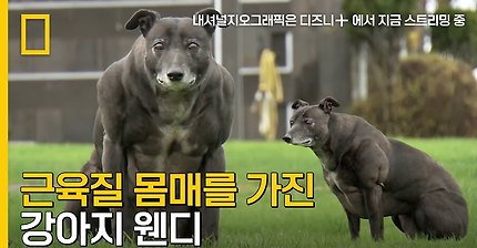 근육이 많이 발달한 웬디.JPG | 인스티즈