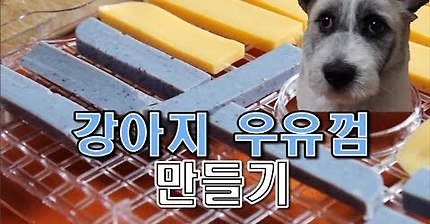 강아지 우유껌 만들기 / Milk gum / 서담 / SEODAM