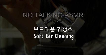 [No talking ASMR] 부드러운 귀청소 Soft Ear Cleaning