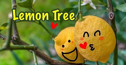 Lemon Tree(레몬트리)/박혜경/Ocarina Cover(SG)