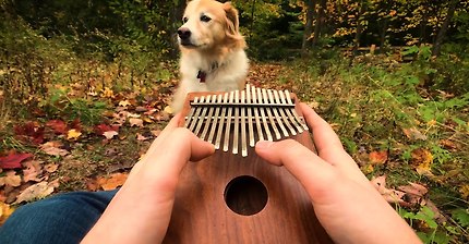 Can't Help Falling In Love on a Kalimba