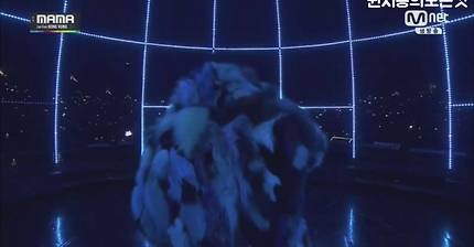 2014 MAMA 무대에 등장한 도플라밍고 ㄷㄷ | 인스티즈