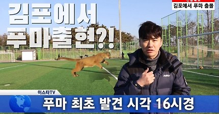약빤거같은 이스타TV 푸마 광고ㅋㅋㅋㅋㅋㅋㅋㅋㅋㅋ | 인스티즈
