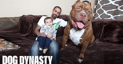 합성논란있길래, 실제존재하는 개 | 인스티즈