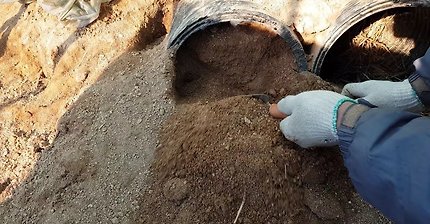 배수관에 낳은 새끼 토끼들 확인하기 &amp; 토끼장으로 이사하기 | 인스티즈