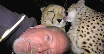 Camping Inside A Cheetah Enclosure | Big Cats Snuggle Cuddle Purr Groom And Sleep With Friend
