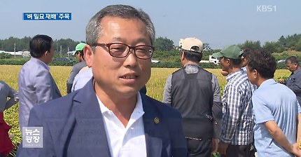 벼 밀묘 재배 영농비 절감 효과