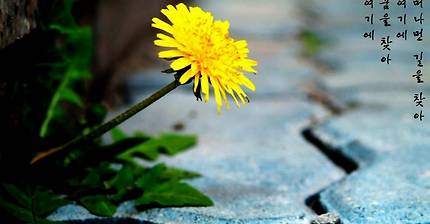 조용필 - 꿈 (1991年)