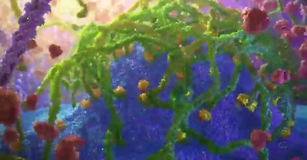 Inner Life of a Cell | Protein Packing