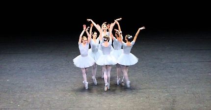 Vienna State Opera, funny ballet. Слава Украине!