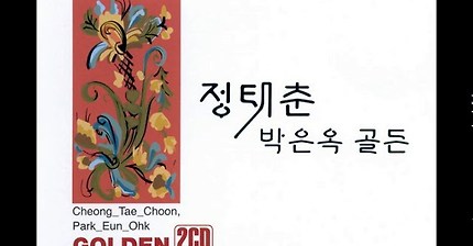 정태춘  -  님은 어디 가고