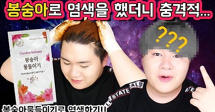 (봉숭아 물들이기로 염색했더니 충격적인 결과가 나왔습니다....) 다이소 봉숭아로 염색해보기!! - [김남욱]