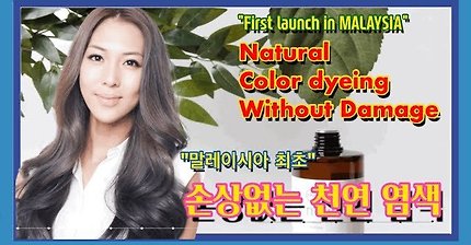 ENG) Natural color dyeing without damage!! 말레이시아 최초 손상없는 천연염색???
