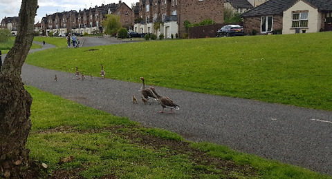 병에 잘 안 걸리는<br>나라, 그런데<br>걸리면 죽는 나라