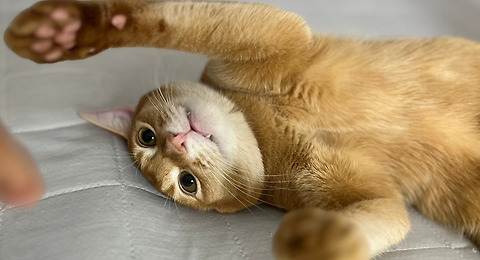 지금 무슨 말을<br>하는 거니?<br>