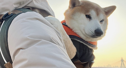 글이 작품이 되는 공간, 브런치