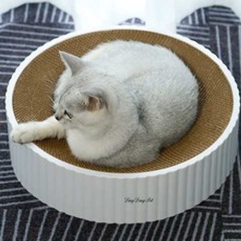 딩동펫 고양이 마루 평판형 스크래쳐 하우스, 혼합색상, 1개