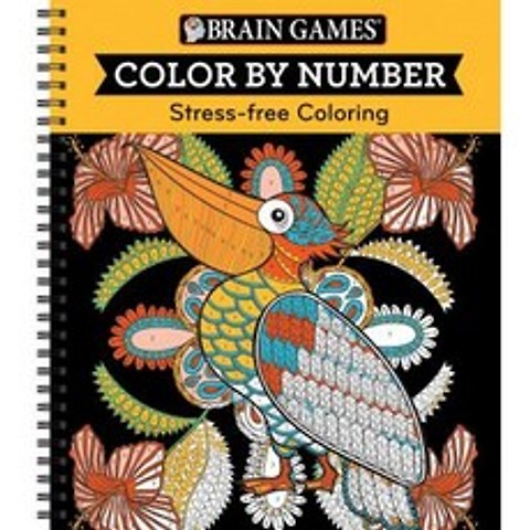 Color by Number Orange Spiral, Publications International, Ltd.
