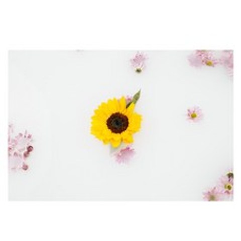 키친아트갤러리 주방아트보드 해바라기와꽃잎, 1개