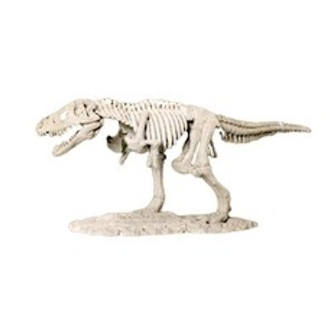 에듀케이셔널 공룡 뼈 발굴 티라노사우루스 LSD1, 1개
