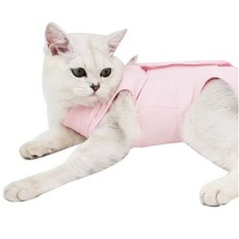 고양이 중성화복 JT6365, 핑크