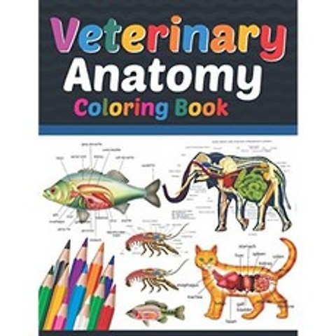 수의학 해부학 색칠 공부 : 수의학 해부학 학습 통합 문서. 동물 해부학 색칠하기 책. 어린이 해부학 색, 단일옵션