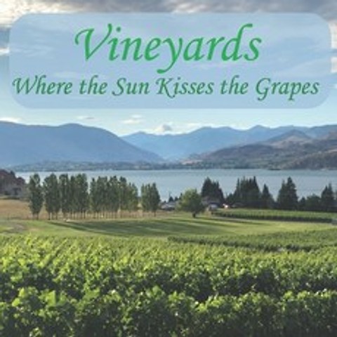 Vineyards: Where the Sun Kisses the Grapes Paperback, Independently Published, English, 9798724397759