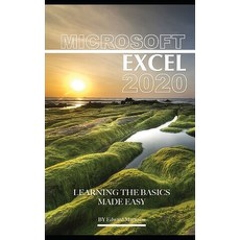 Microsoft Excel 2020: Learning the Basics Made Easy Paperback, Independently Published