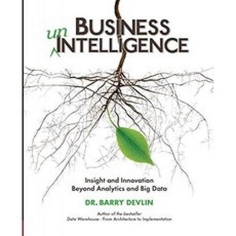 비즈니스 비 지능 : 분석과 빅 데이터를 넘어선 통찰력과 혁신, 단일옵션