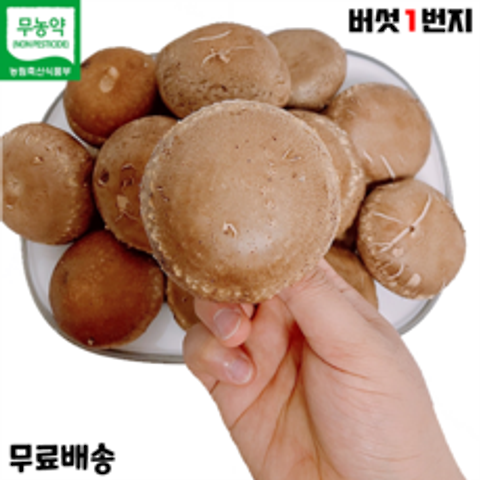 표고1번지 장흥 무농약 생 표고버섯 1kg, 1박스