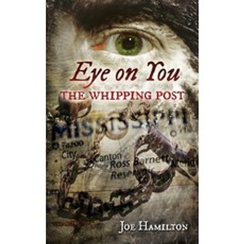 Eye on You - The Whipping Post: A Gabriel Ross Mystery Book 8 Paperback, 978-0-9939999-8-7, English, 9780993999987