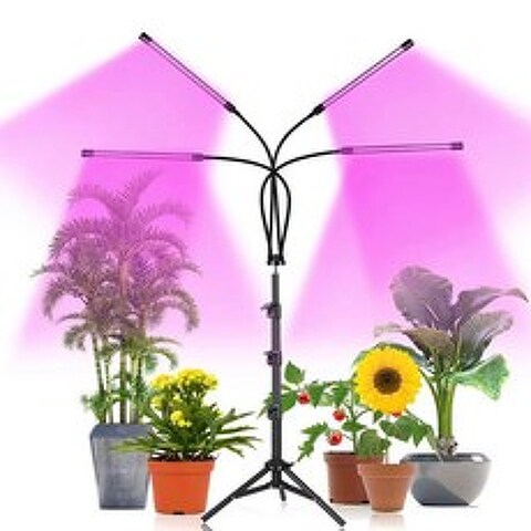 비상 식물등 성장등 생장등 재배등 쑥쑥이 다육이 난초 LED조명, 4헤드 삼각대+충전기