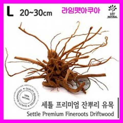 (20~30cm) 잔뿌리 유목 사이즈L 세틀 어항 수족관 수조 장식품