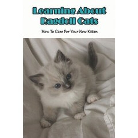 Learning About Ragdoll Cats_ How To Care For Your New Kitten: Ragdoll Cats Book Paperback, Independently Published, English, 9798582900429