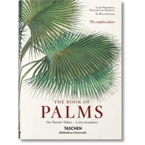 Martius The Book of Palms:The Book of Palms, TASCHEN