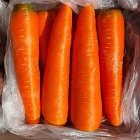 세척 당근 최상품 신선 carrot 5kg 10kg, 5kg (개당300g내외), 1box