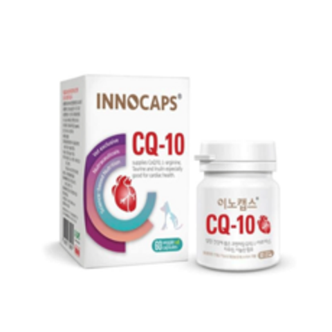 [정품] 이노캡스 CQ-10 60캡슐 심장영양제 (유통기한 : 22. 05. 25), 어니스트 동결건조간식1개, CQ-10 심장