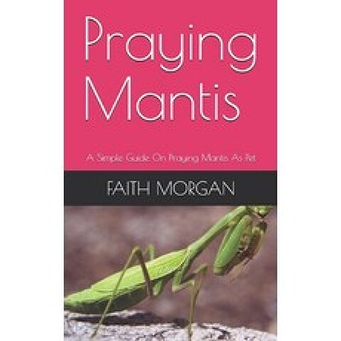 Praying Mantis: A Simple Guide On Praying Mantis As Pet Paperback, Independently Published