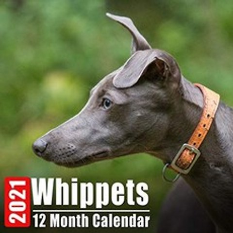 달력 2021 Whippets : 매달 영감을주는 인용구가있는 귀여운 경전차 사진 월간 미니 달력, 단일옵션