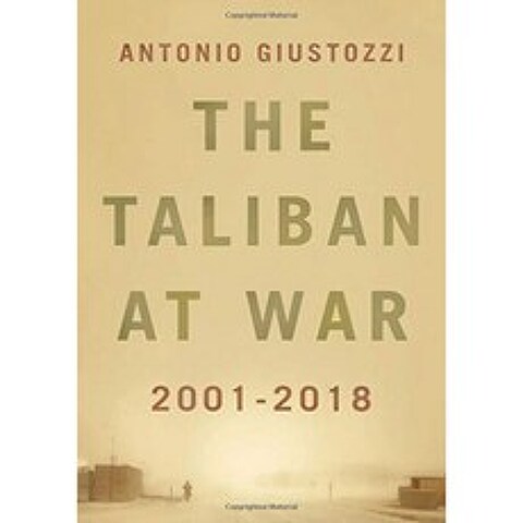 전쟁의 탈레반 : 2001-2018, 단일옵션