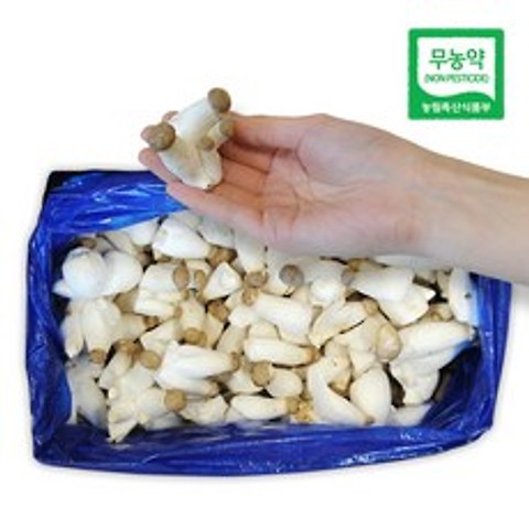 [무농약] 깔끔하게 손질된 새송이버섯 1kg 2kg, 1박스, 솎음버섯 2kg (볶음용)