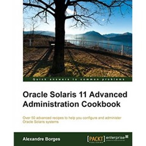 Oracle Solaris 11 고급 관리 설명서, 단일옵션
